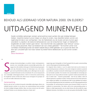 Uitdagend mijnenveld